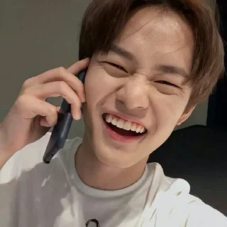 Sticker from zhong chenle @druangkosong