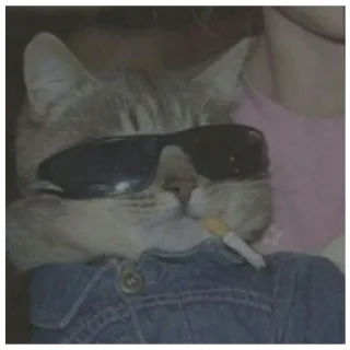 😼 emoji Shitpost Telegram sticker 17 of 30
