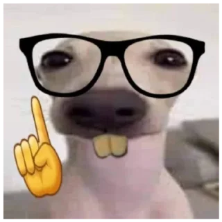 🤓 emoji Shitpost Telegram sticker 14 of 30