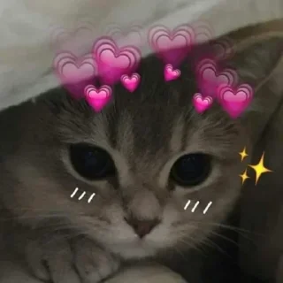 ❤ emoji Shitpost (Joel's stickers don't use) Telegram sticker 8 of 40