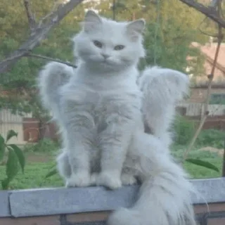 Sticker from Gatitos