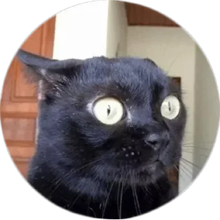 😟 emoji Michis Telegram sticker 21 of 120