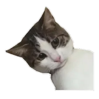 😥 emoji Michis Telegram sticker 20 of 120