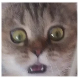 😱 emoji Michis Telegram sticker 19 of 120