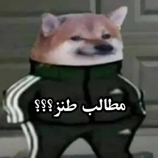 Sticker from @prokarud00 مبهم چنل