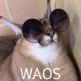 😎 emoji Doc Telegram sticker 8 of 11