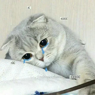 😢 emoji 💗ɢᴀᴛɪɴ֟፝͜͡ʜᴏs💗 @stickersdaManu Telegram sticker 13 of 70