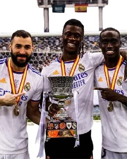 🇫🇷 emoji Halad Madrid Telegram sticker 11 of 120