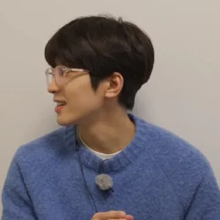 Sticker from @STIKERSVT : Wonwoo The Truman Show of Mr. SVT's #1