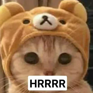 🌟 emoji @slmbneonur @AsenaUserBot Paketi 1 Telegram sticker 7 of 73