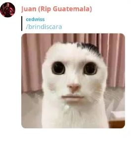 🧕 emoji Kanye Posteo: chamo (bound) 2 pack by @QuotLyBot Telegram sticker 11 of 105