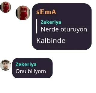 Sticker from 🫧⃝😈 MLA LOJİSTİK67🫧⃝😈 pack by @QuotLyBot