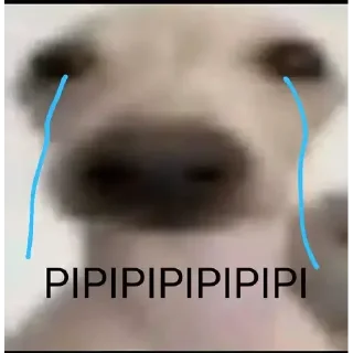 🤨 emoji De mi novia Telegram sticker 18 of 119