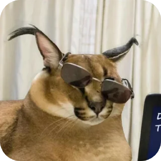 🐶 emoji Flop Telegram sticker 12 of 120