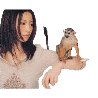 🦧 emoji Sheena Ringo Telegram sticker 19 of 113