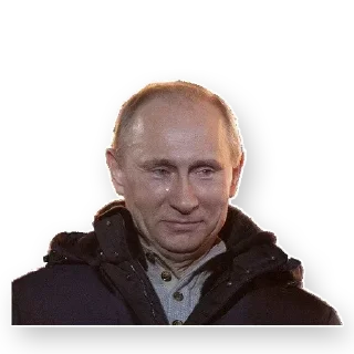 😓 emoji Putin (@malyshev) Telegram sticker 10 of 50