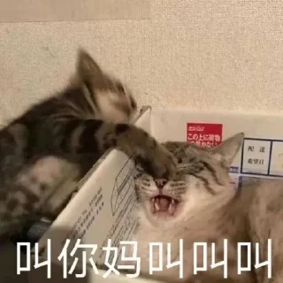 😡 emoji 喵咪咪 Telegram sticker 22 of 48