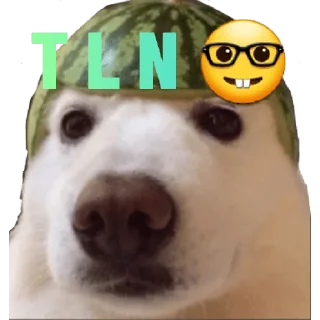 Sticker from Doc