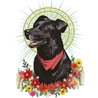 🙏 emoji Dorime Chile Telegram sticker 7 of 94
