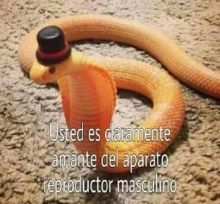 🐍 emoji Las pendejadas de ahora @RESLISH Telegram sticker 24 of 65