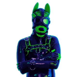 Sticker from Pup Junkers