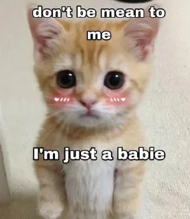 🥺 emoji 🐈 Telegram sticker 17 of 97