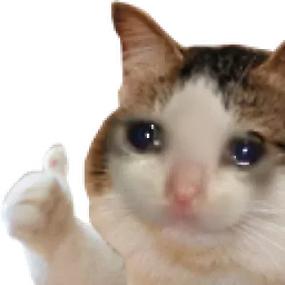 👍 emoji JoseA132's stickers — @stckrRobot Telegram sticker 24 of 120