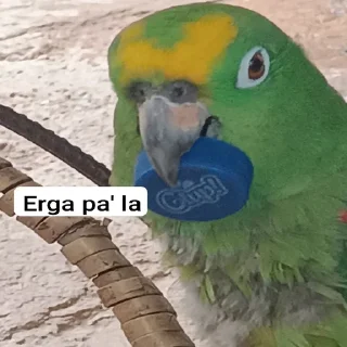 🤑 emoji Si Telegram sticker 20 of 34