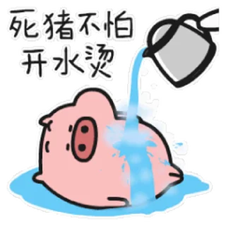 😊 emoji 菜猪 Telegram sticker 13 of 50