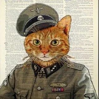 📰 emoji 🙋🏼‍♂️ Bazed Kittys 🐈 Telegram sticker 24 of 44