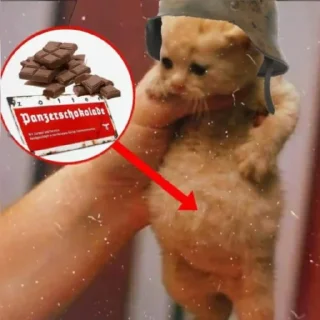 🍫 emoji 🙋🏼‍♂️ Bazed Kittys 🐈 Telegram sticker 14 of 44