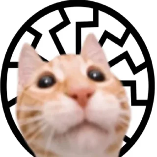 Sticker from 🙋🏼‍♂️ Bazed Kittys 🐈