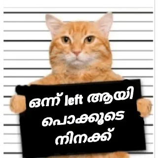 Sticker from Cat Malayalam @sticker_pack_channel — @stckrRobot