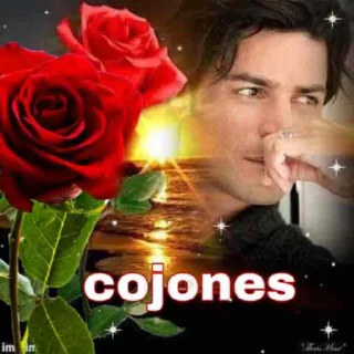 Sticker from papi chayanne