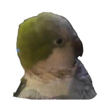 🐦 emoji Re Pe Telegram sticker 17 of 26