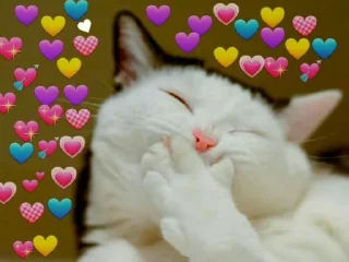 🤭 emoji 💗ɢᴀᴛɪɴ֟፝͜͡ʜᴏs💗 @stickersdaManu Telegram sticker 7 of 70