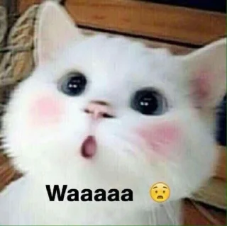 😯 emoji 💗ɢᴀᴛɪɴ֟፝͜͡ʜᴏs💗 @stickersdaManu Telegram sticker 9 of 70