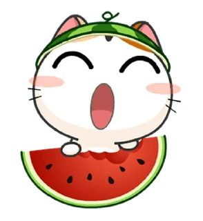 🍉 emoji ✨𝆺𝅥⃞ͪ⃞⃞⃞͛⃞ ͣ ͬ         @Shahajadii Telegram sticker 8 of 25