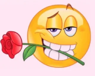 🌹 emoji Ruiz Pack VII @XRuizinho — @stckrRobot Telegram sticker 14 of 120