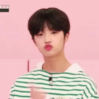 🦜 emoji Dongpyo by @aratickers Telegram sticker 5 of 24