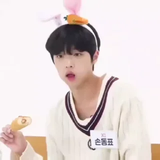 🦜 emoji Dongpyo by @aratickers Telegram sticker 24 of 24