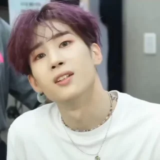 🍇 emoji seungwoo #2 @stickerkgif Telegram sticker 14 of 50