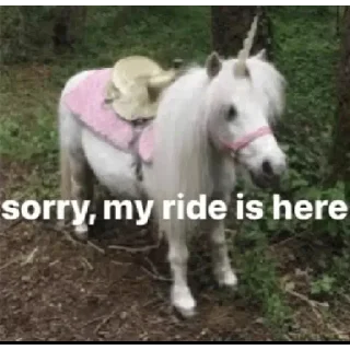 🌈 emoji My ride is here Telegram sticker 1 of 32