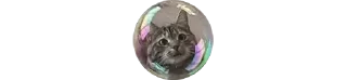 🥺 emoji Маленький кисель — @stckrRobot Telegram sticker 6 of 8