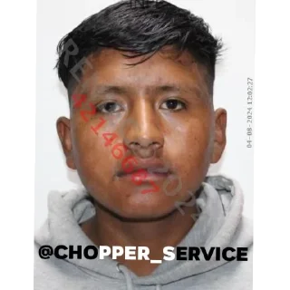 Sticker from 🐷Chanchito🐷