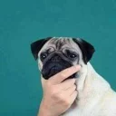 🤔 emoji 34 Lixeira Telegram sticker 16 of 119
