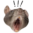 Sticker from mouse boy