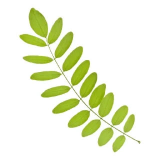 👋 emoji Mas Telegram sticker 16 of 50