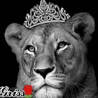 👸 emoji 🌹𝒢𝓇𝒾𝓈𝓈ꨄ𝓛𝓮𝓸𝓷𝓬𝓲𝓽𝓪 Telegram sticker 5 of 94