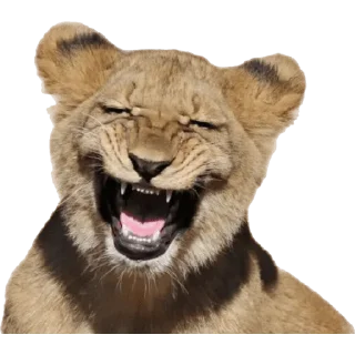 😀 emoji 🌹𝒢𝓇𝒾𝓈𝓈ꨄ𝓛𝓮𝓸𝓷𝓬𝓲𝓽𝓪 Telegram sticker 24 of 94